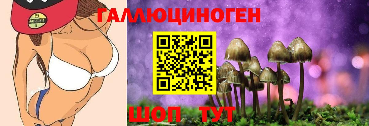 Печора  Галлюциногенные грибы GOLDEN TEACHER  Вход с VPN 